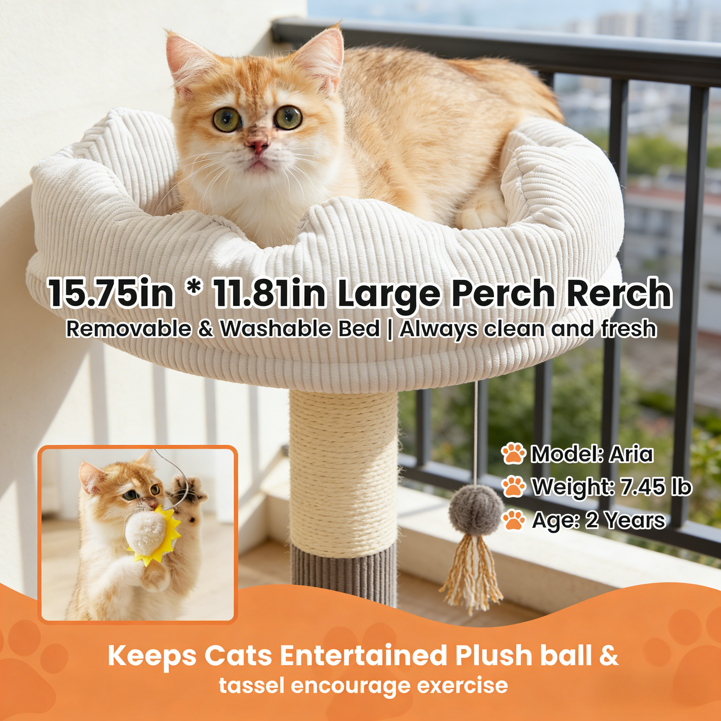 Compact Solid Wood Cat Tree, Includes Scratching Post & Removable Bed