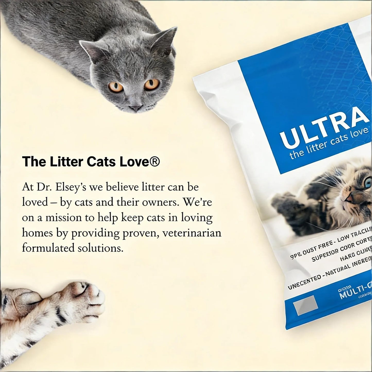 Unscented Clumping Clay Cat Litter, 18 lb x 3 Bags